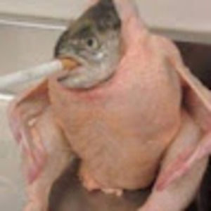 Meet your Posher, Julien